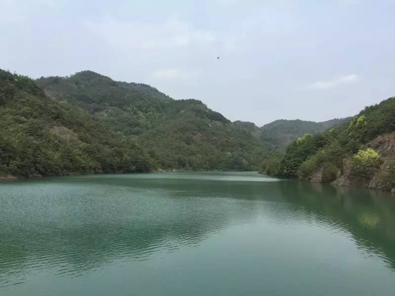 永康太平水库简介图片