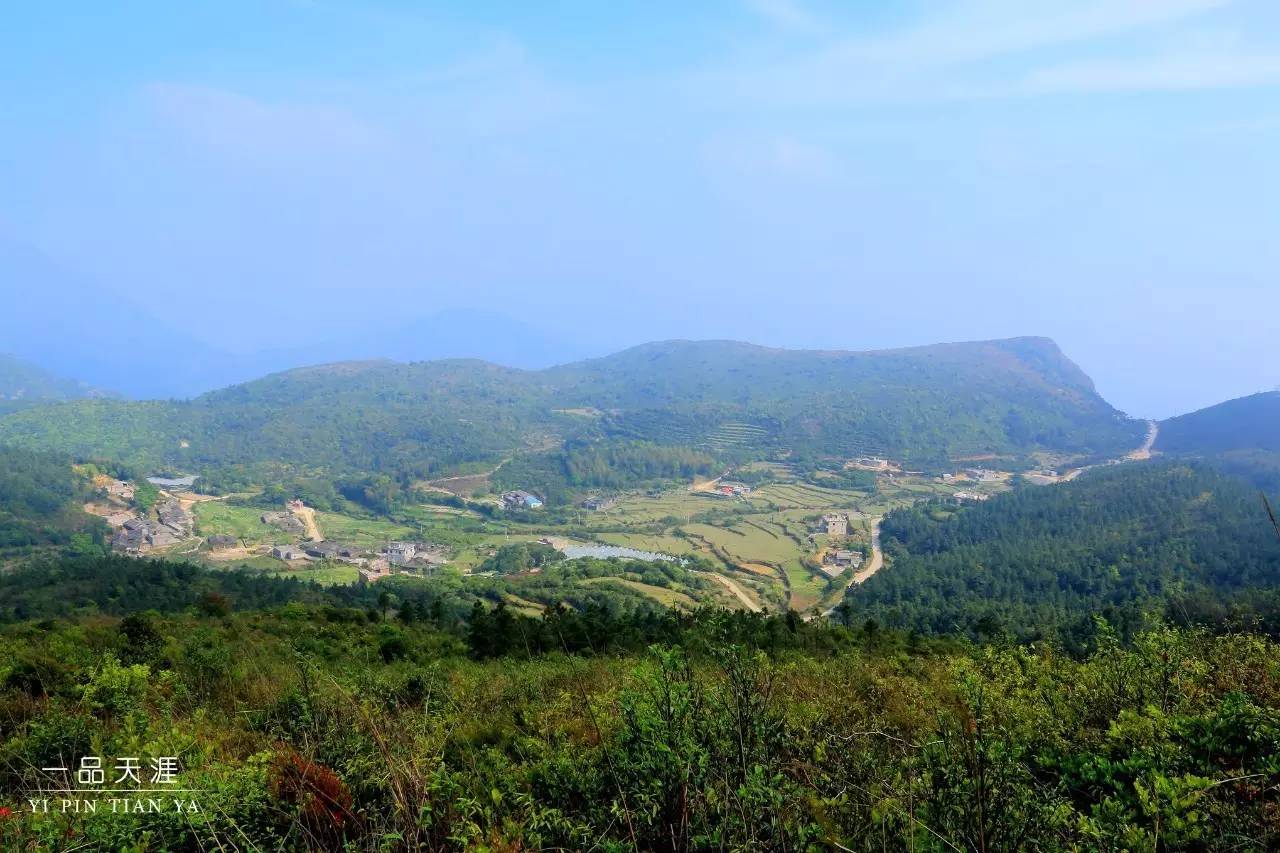 原來你是這樣的雲頂山,從開滿杜鵑花的腳下路過