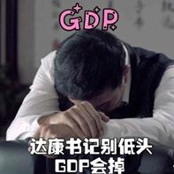 康达书记的gdp什么梗_达康书记的GDP让保姆来守护!