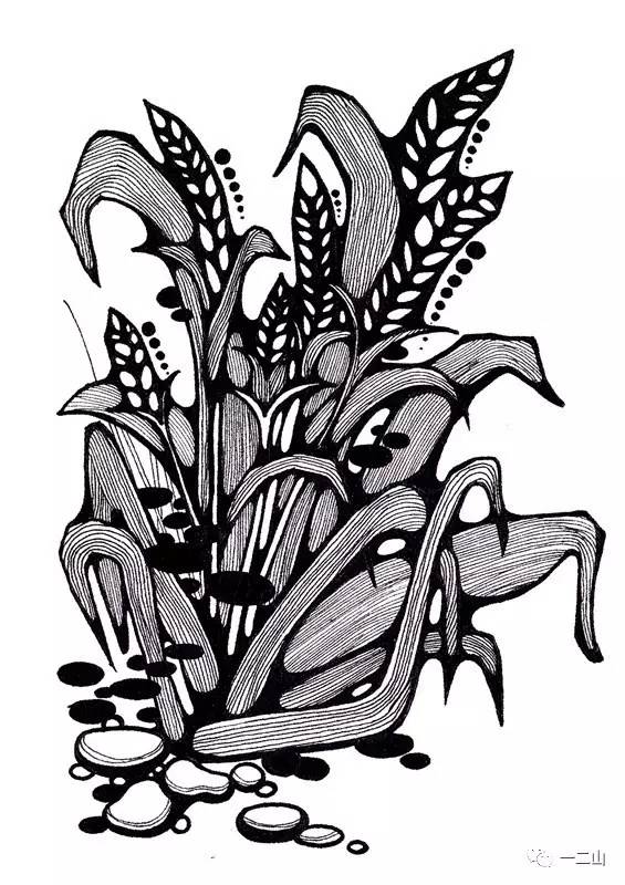 植物纹样黑白图片