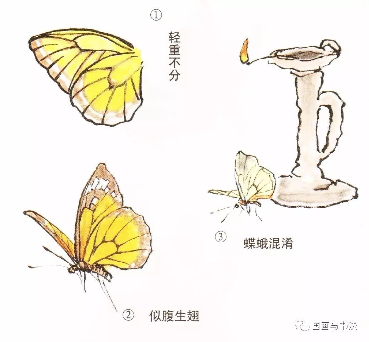 蝴蝶的工笔及写意画法