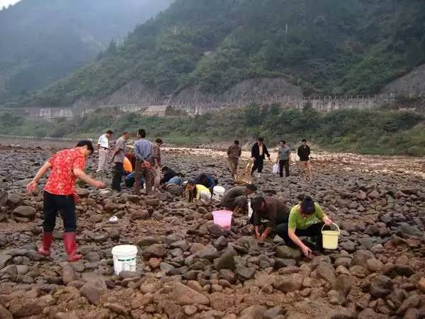 与祖父在湖中捕鱼的孩子. 钓着鱼竿的鱼既开心又兴奋库存照片. 图片包括有孙子, 生活方式, 活动家- 226450956