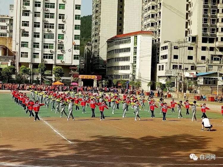 白河县城关小学图片