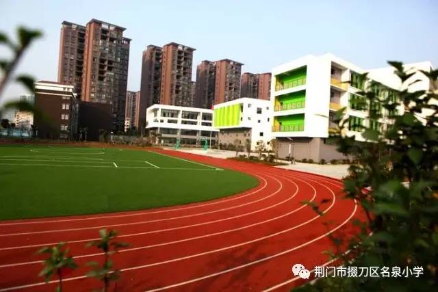 名泉小学被评为湖北省卫生先进单位