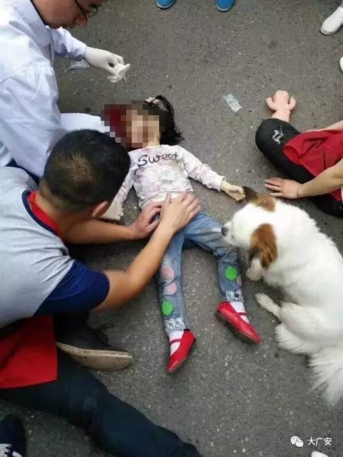 突遭车祸,小女孩当场死亡,随后当地警察和120及时赶到现场