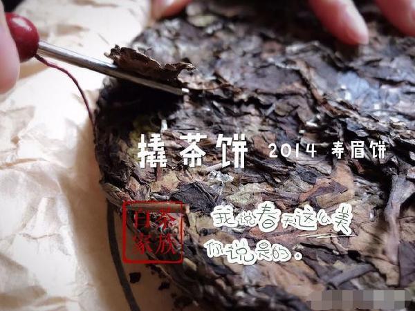 喝老白茶需要醒茶嗎？《圖+文》