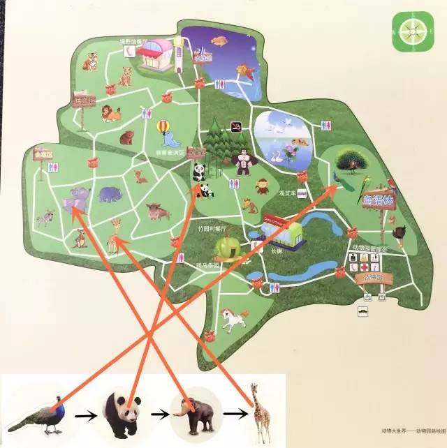 东胜动物园游览图图片