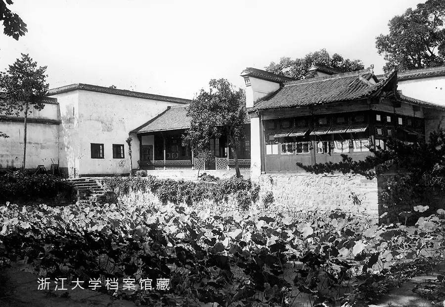 浙江大学 今昔