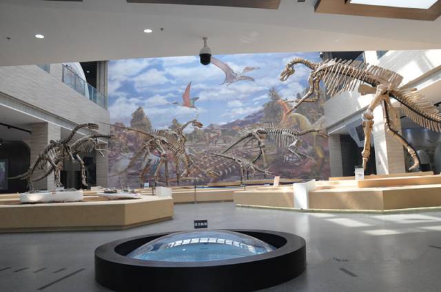 莱阳市恐龙博物馆图片