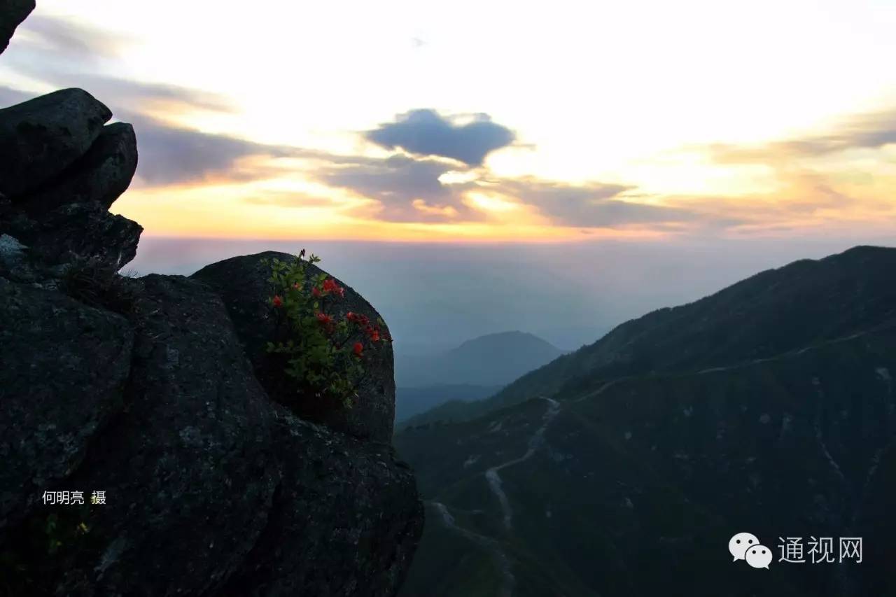 【黃龍山杜鵑文化旅遊節】 期待你我相遇在這一場久違的春暖花開!