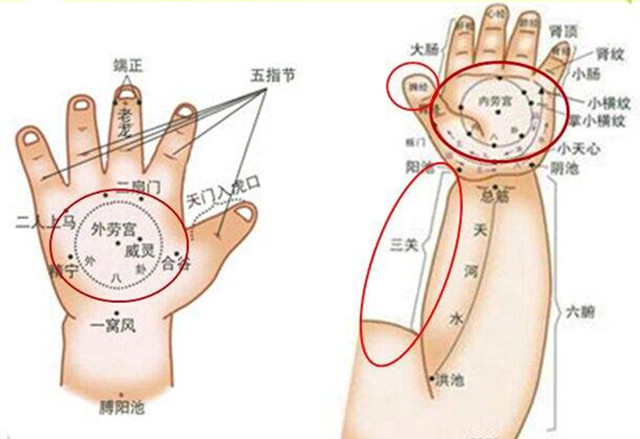 四缝对应的器官图片