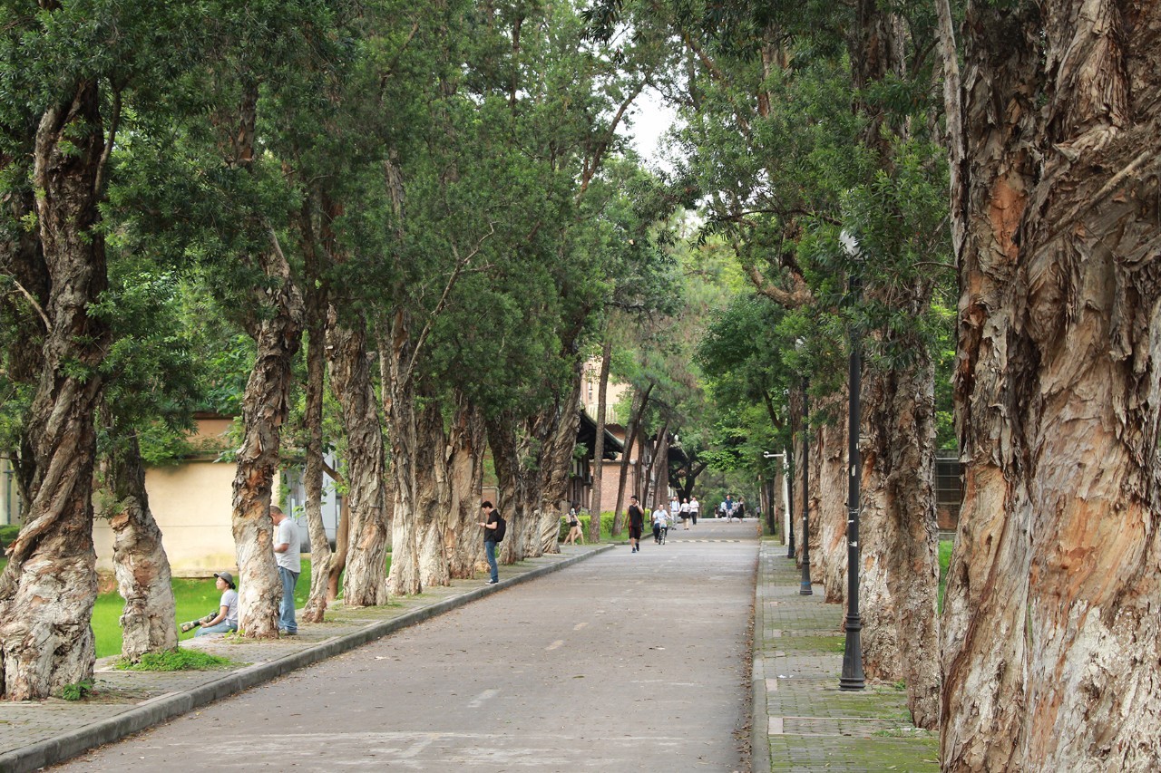 1904年,岭南大学将广州河南康乐村选为永久校址.岭南路也因此得名.