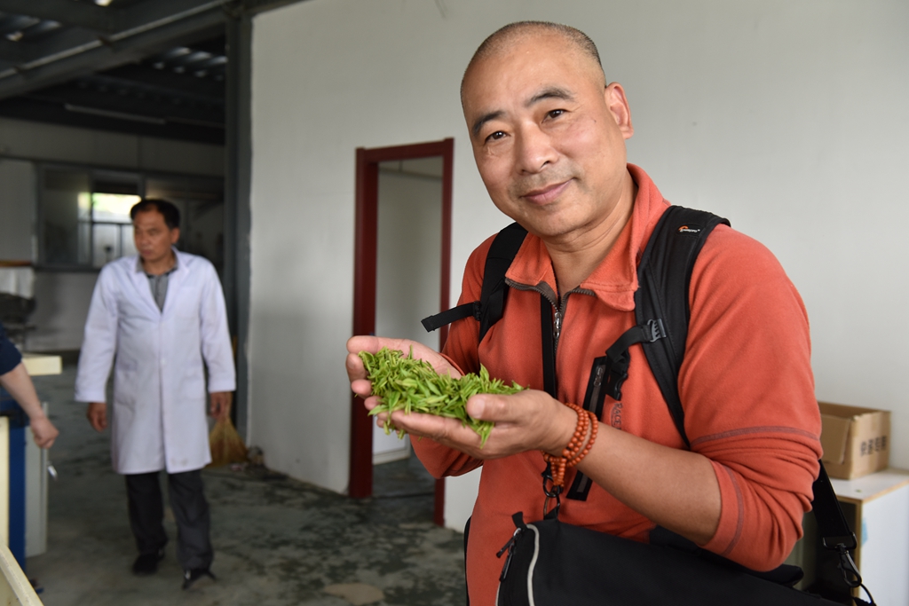 余氏六碗茶—溧阳白茶中一匹前途无量的黑马