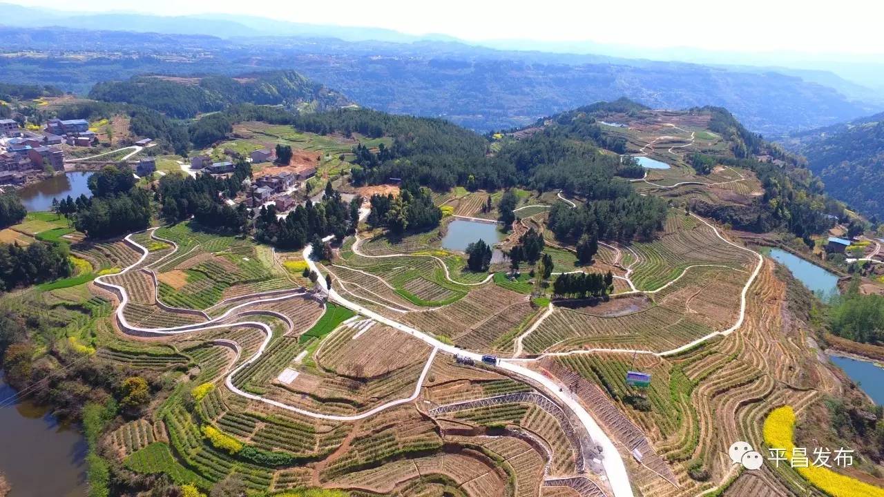 石龙村茶场徐家梁茶园罗家梁茶园▼是平昌茶叶产业重镇…鹿鸣镇茶