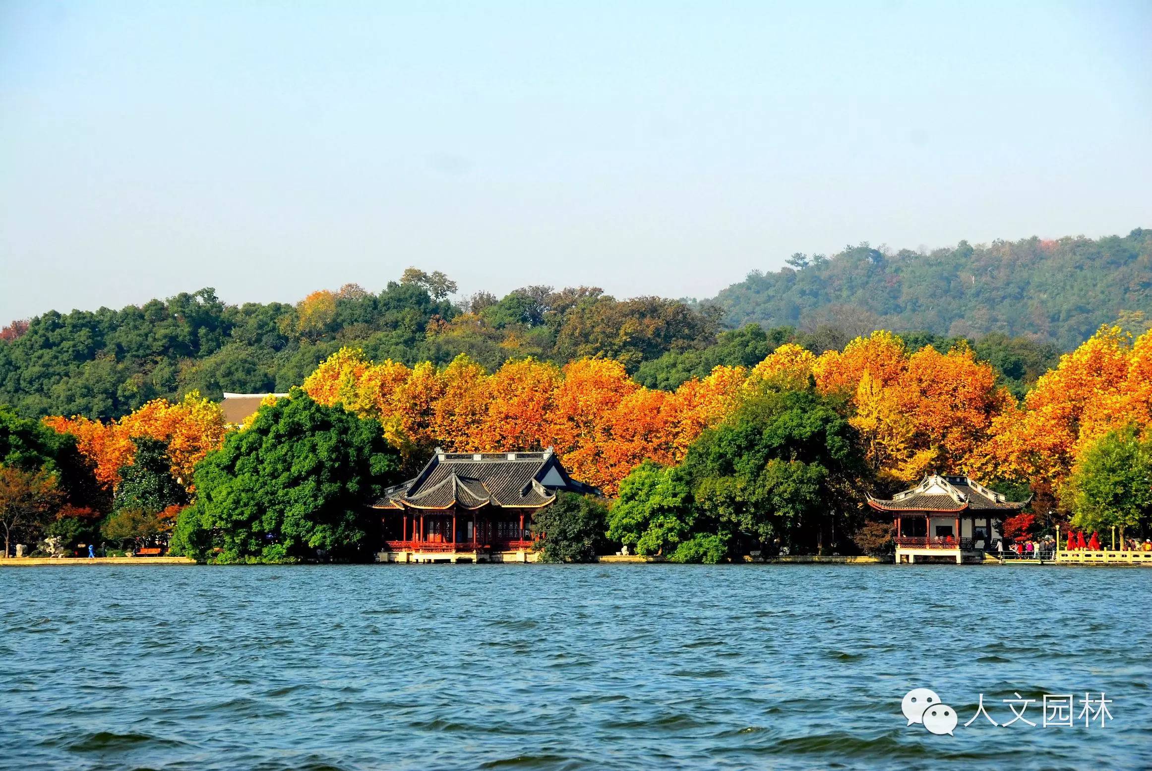 楓林木地板_百木世佳地板怎么樣_大自然地板荷木仿古ds202p價格