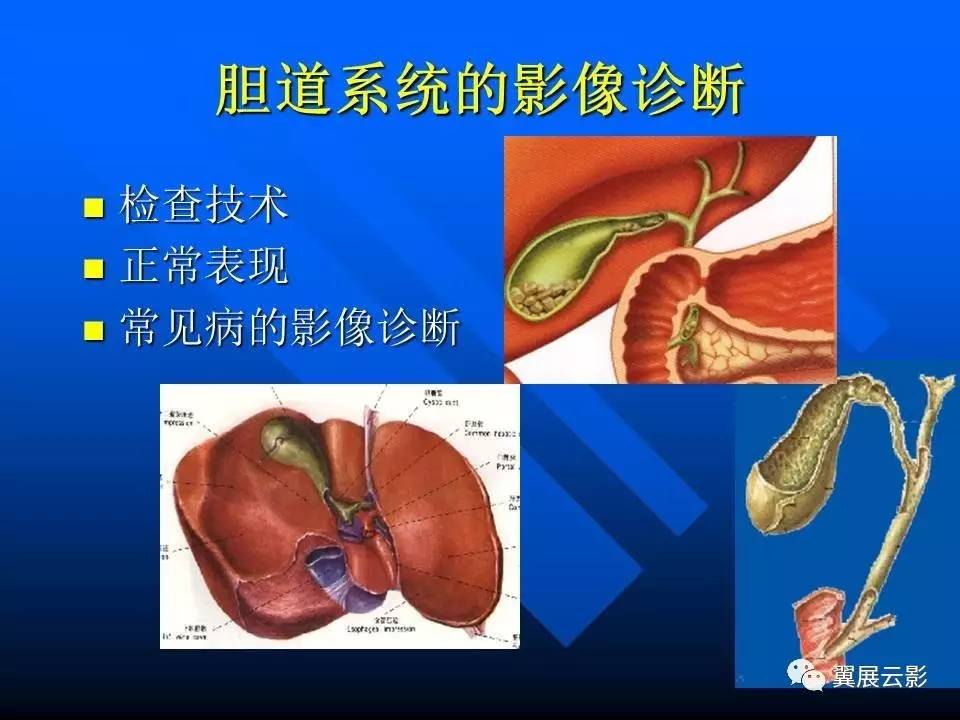 肝膽胰脾的影像診斷