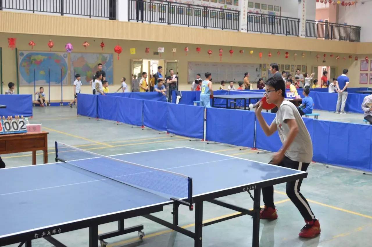 勇于拼搏"乒"动我心—阳溪学子在龙湖镇小学生乒乓球比赛中喜获