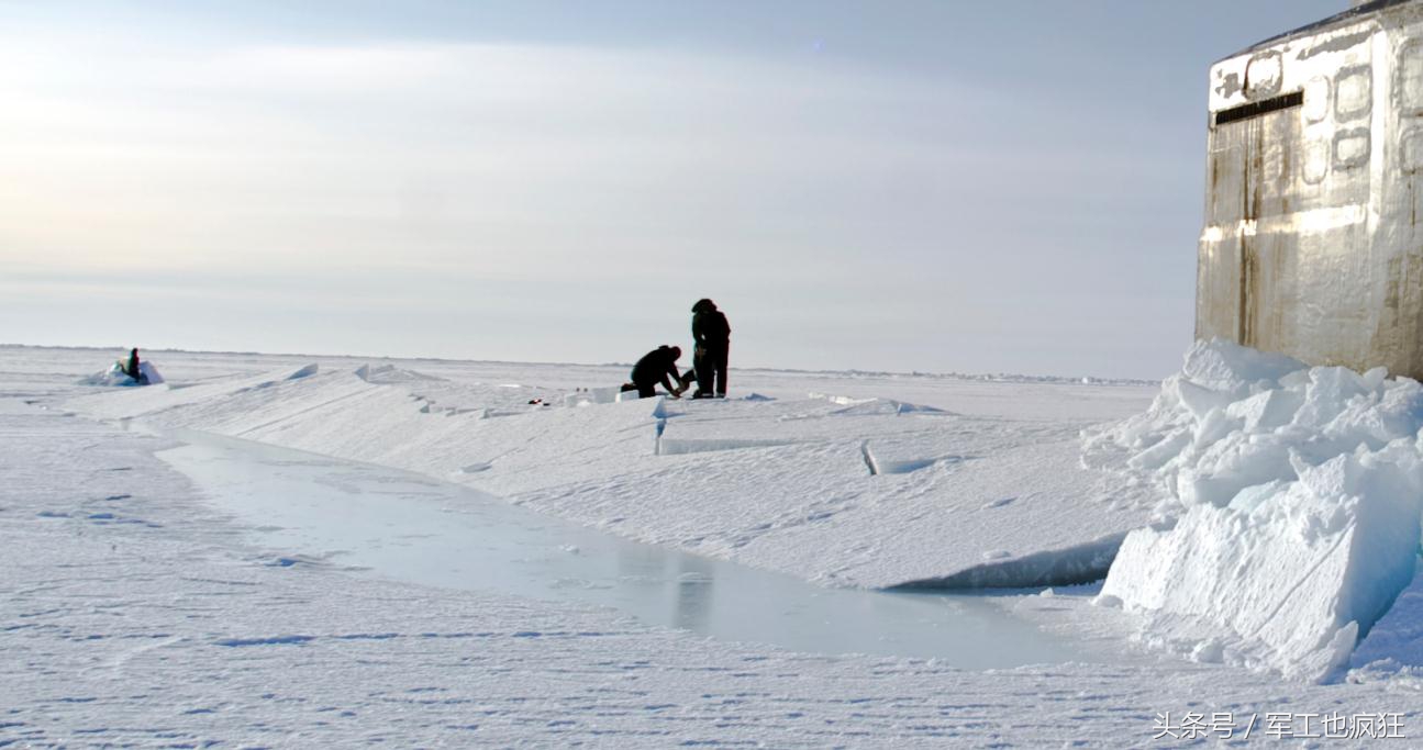 合肥宁国路北极海狼图片