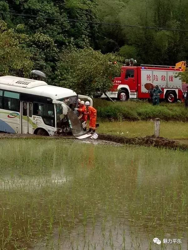 来源:综合平乐闲事公 全州人