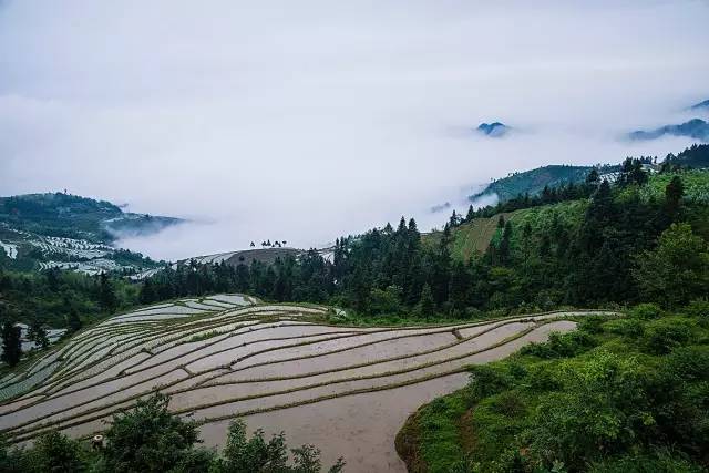 在怀化,有个梯田开拓者,叫山背花瑶