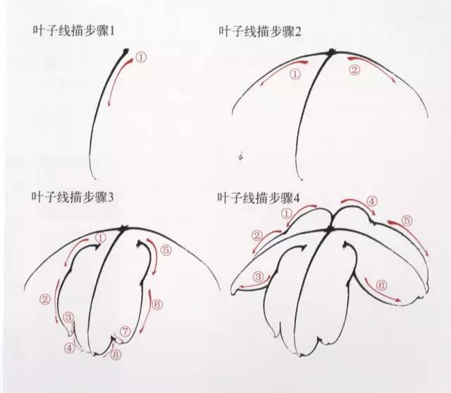 工笔画顺序图片