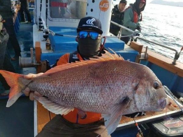 大真鲷收割者 神秘钓点海钓 钓上来的都是真鲷