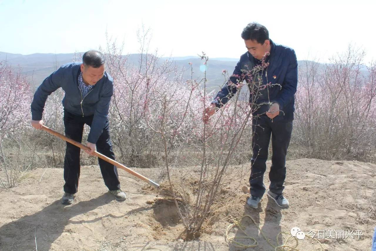 宁夏隆德县谢国玉图片