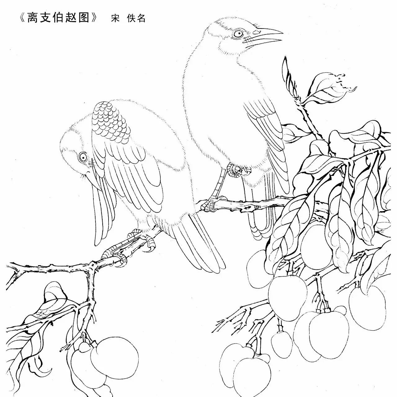 宋代花鸟小品白描图,同样美美哒