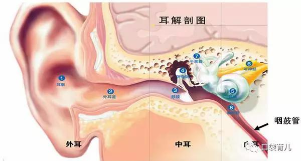 宝宝耳朵进水怎么办视频指导如何护理宝宝耳朵