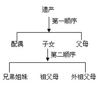 遗产分配比例图儿女图片