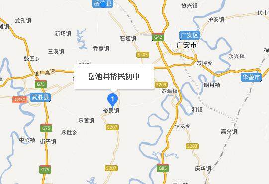 岳池县各镇地图图片