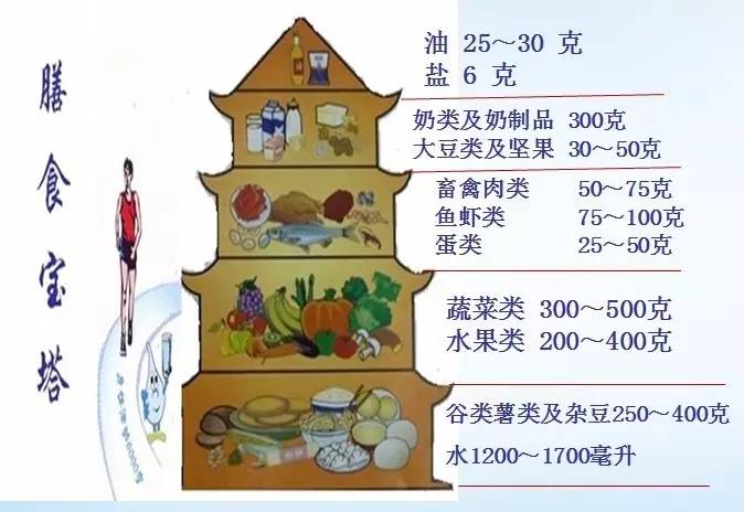 【健康學堂】詳解中國居民膳食寶塔