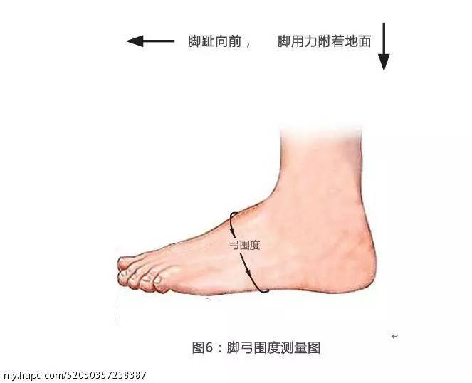 而中国人大多数脚背高 内楔骨呈现一个隆起的状态 如下图