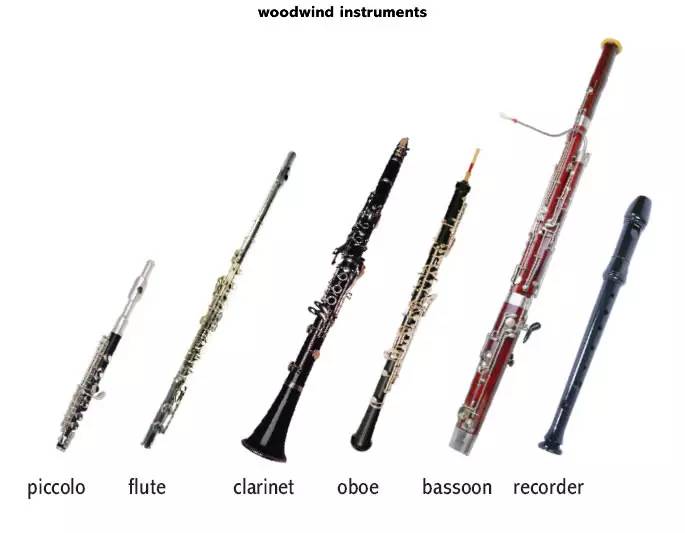 长笛(flute),单簧管(clarinet),双簧管(oboe),大管(bassoon)等所以