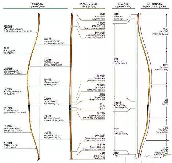 这张专业的图详细的介绍了和弓的构造,可以看出和弓奇特的不对称外形