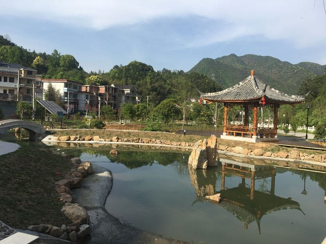 戴家村树桩月季种植基地,也是莲花镇美丽乡村建设的一个新景点.