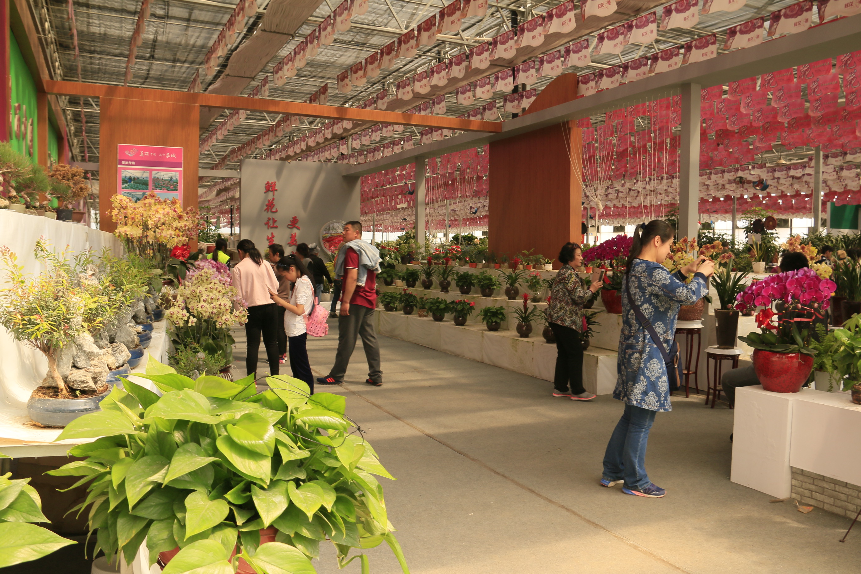 济南鲜花港(济南鲜花港门票多少钱)