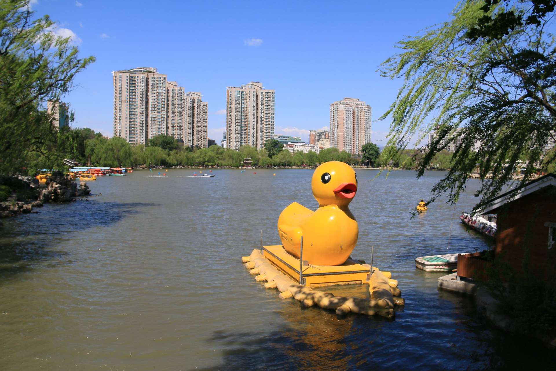 玉淵潭公園以水見長風景這邊獨好