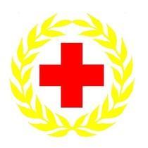 中国红十字会再出事 被撤销10个专项基金