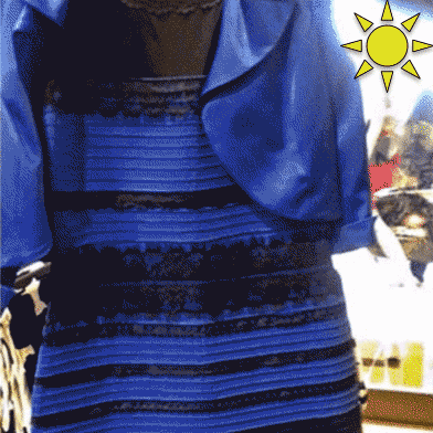 裙子蓝黑还是白金图片