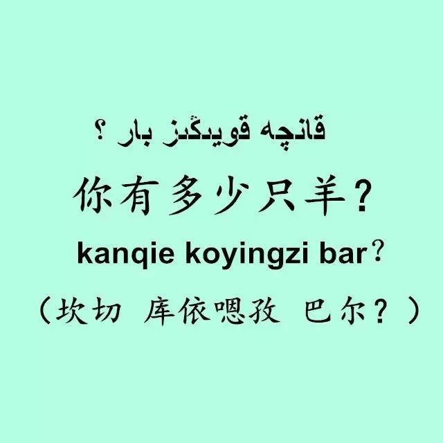 维吾尔语八必问——询问家庭养殖情况