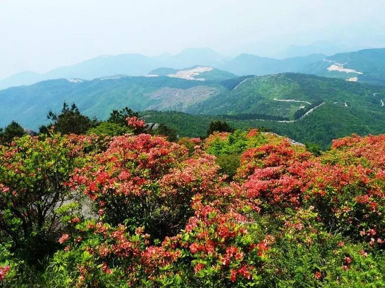 天台大雷山景区图片