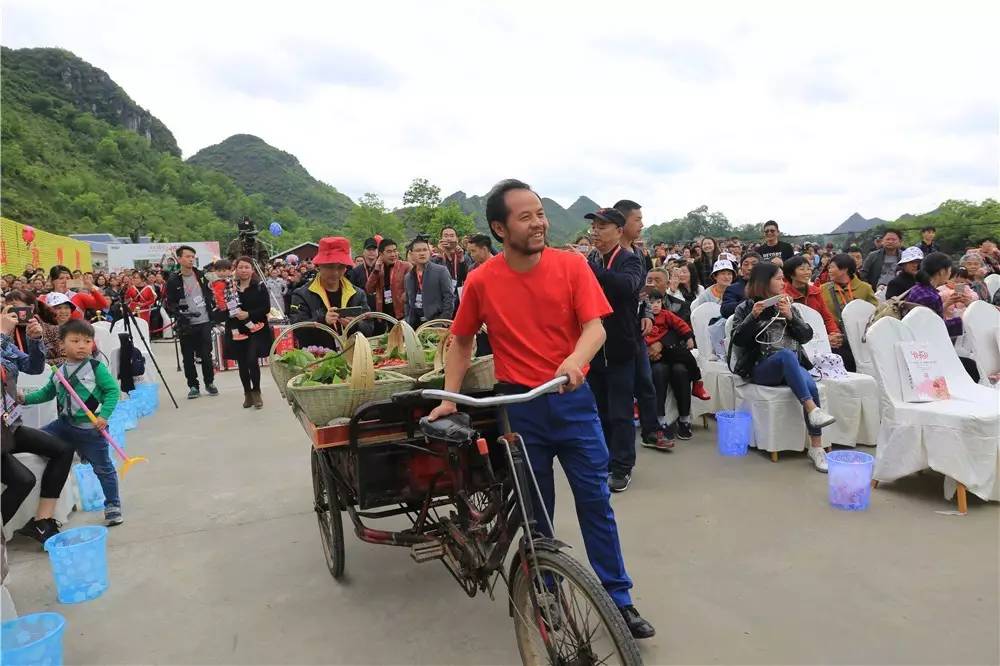 镇宁樱桃采摘旅游节在镇宁自治县马厂镇茂良村开幕.