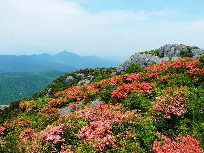 天台大雷山景区图片