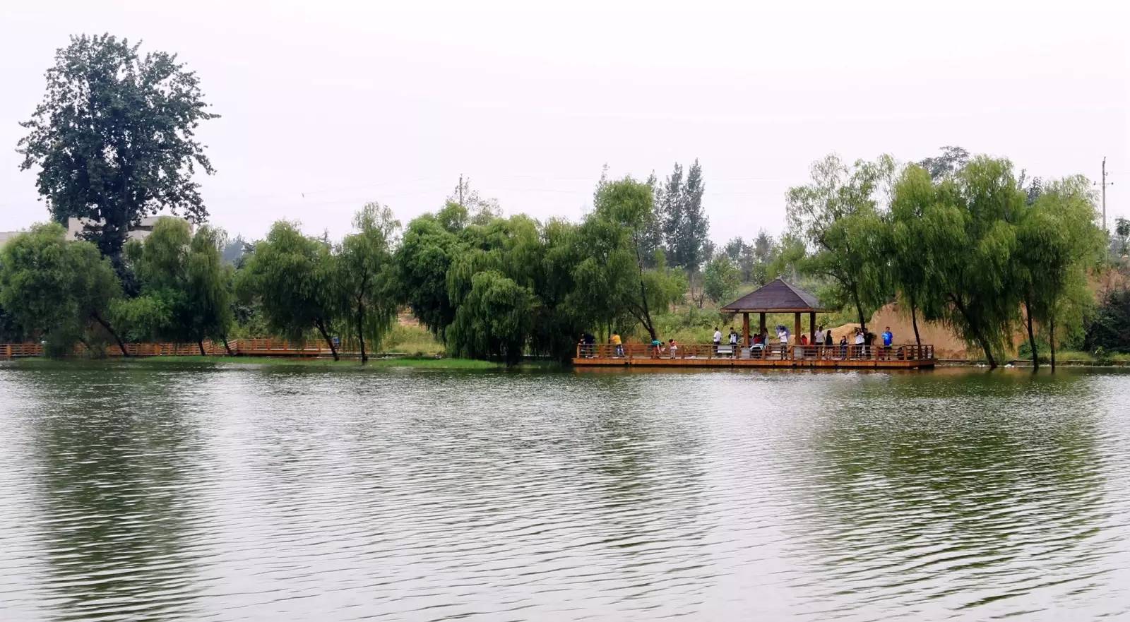 郑州洞林湖湿地公园图片