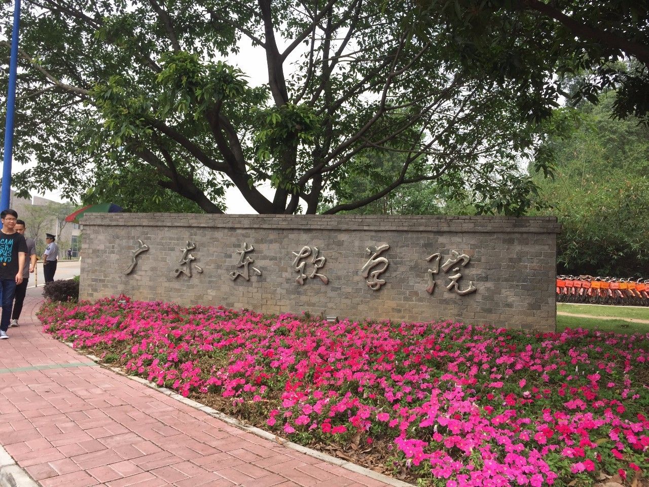 佛山狮山镇大学城图片