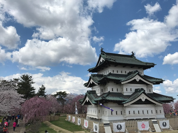 樱花满开的日本青森 动画 飞翔的魔女 圣地巡礼