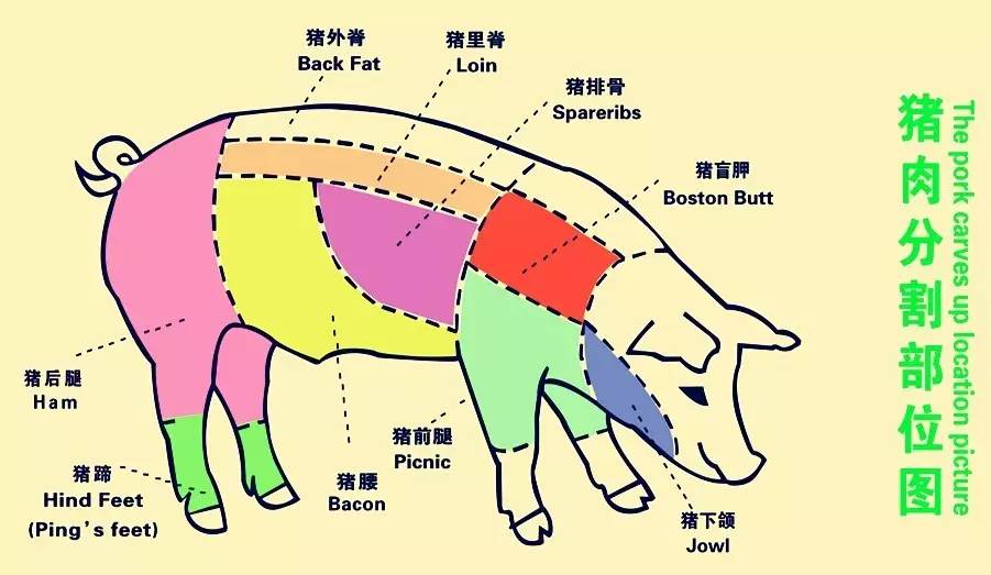 猪里脊肉在什么位置图片