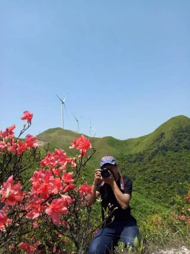 兴国茶园十八排图片