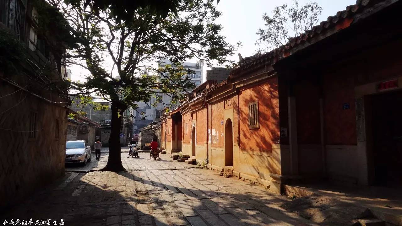 晋江英林老街图片